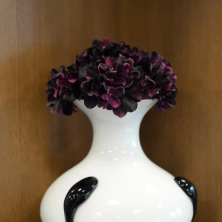 Hotel Orasac Garni 4*